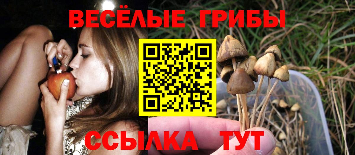 Кумертау  Псилоцибиновые грибы Psilocybe  Вход с VPN  Галлюциногенные грибы Magic Shrooms 