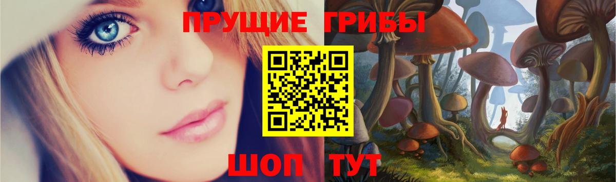 Галлюциногенные грибы MAGIC MUSHROOMS Кумертау